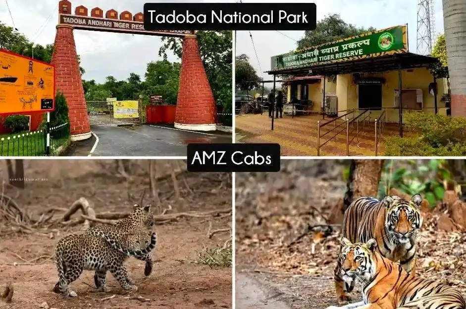 Distance From Nagpur Airport To Tadoba National Park amzcabs.in