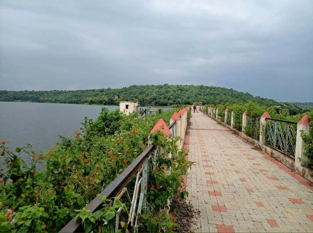 Zilpi Lake - Greenery