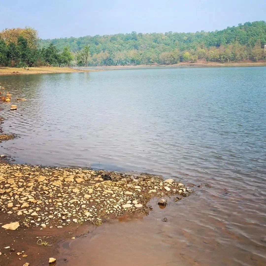 Zilpi Lake - Peaceful Waters