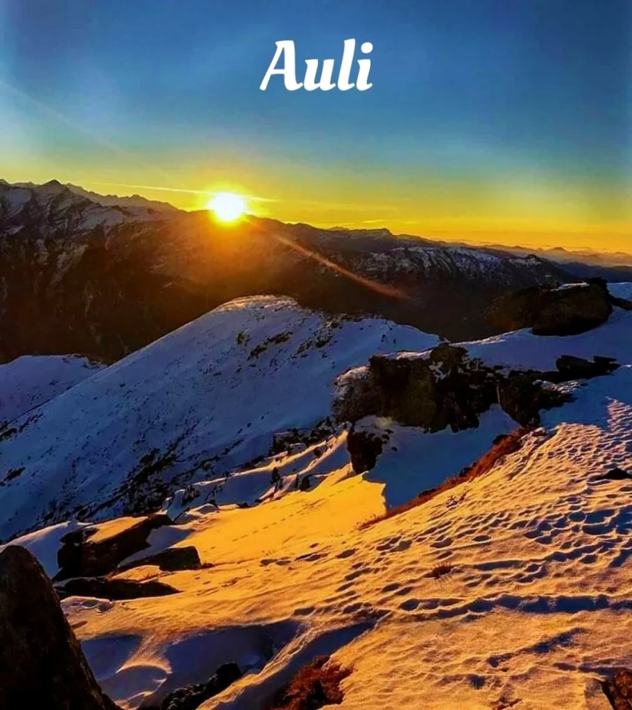 Auli