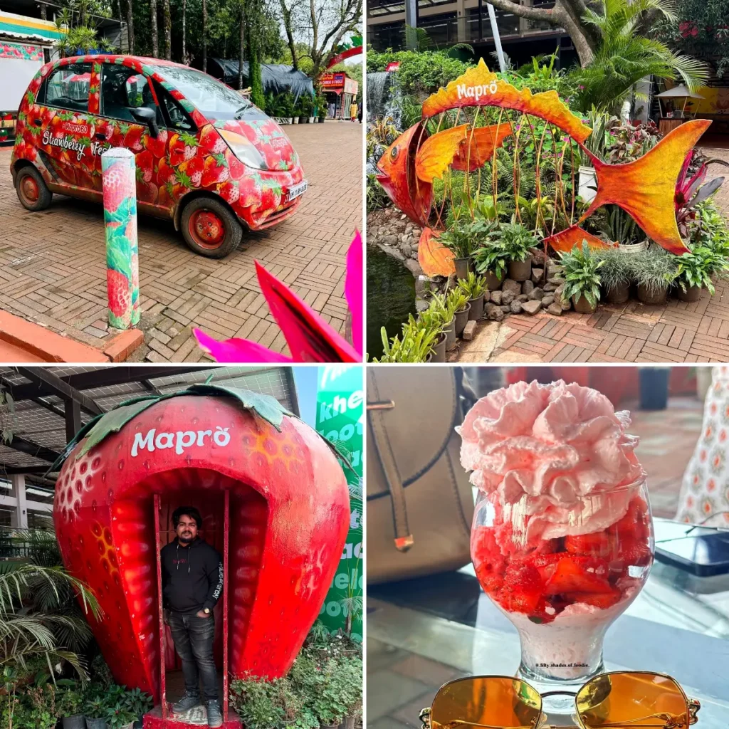 Mapro Garden