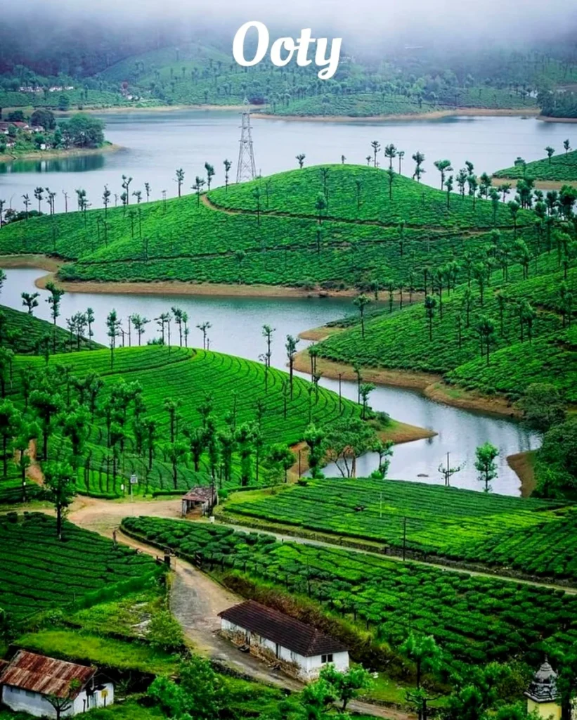 Ooty
