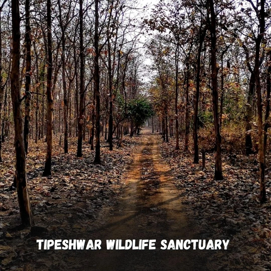 Tipeshwar Wildlife Sanctuary