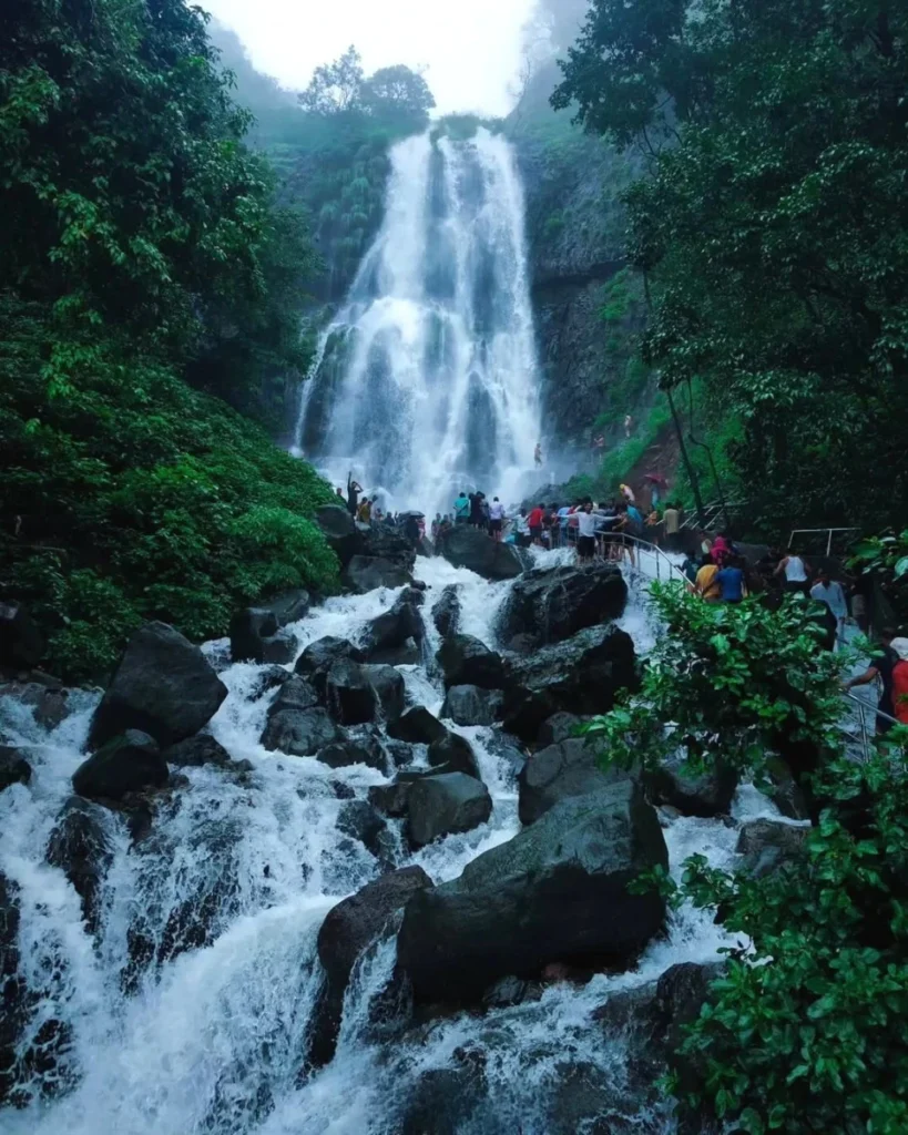 Amboli