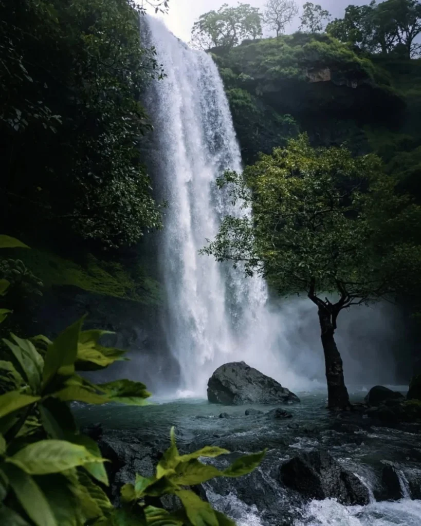 Bhandardara Waterfall