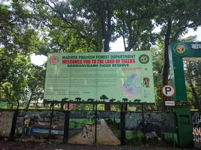 Bandhavgarh National Park
