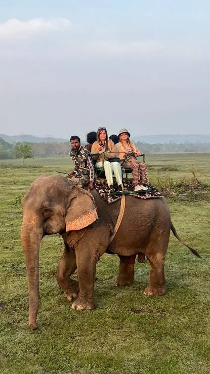 Elephant Safari
