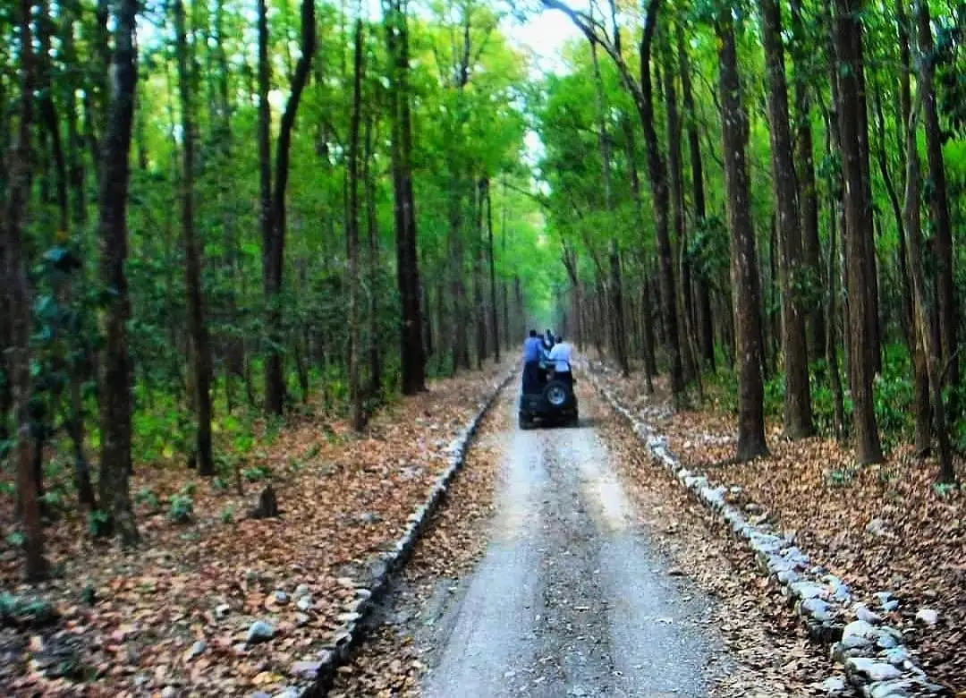 Jim Corbett National Park