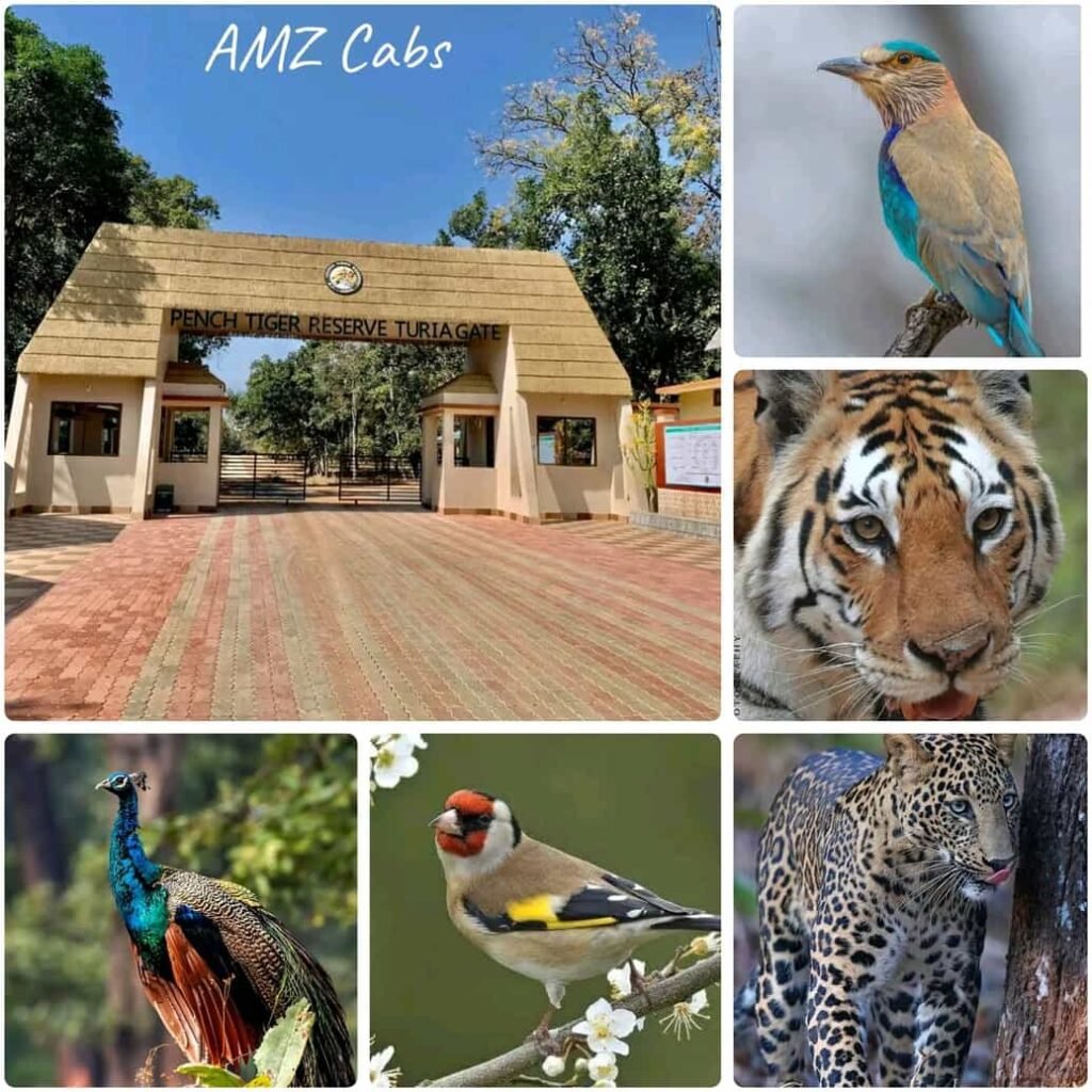 Pench National Park