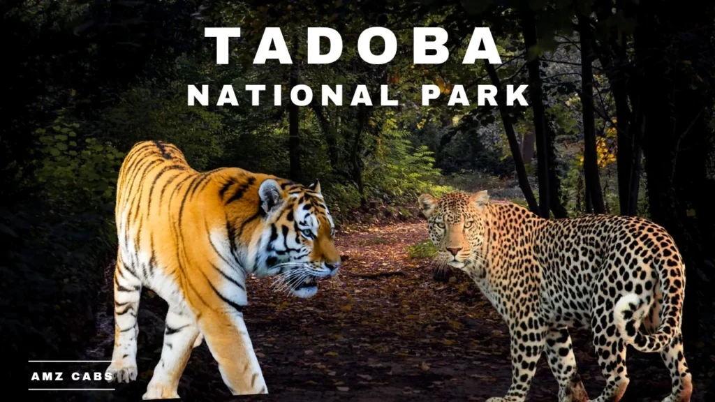 Tadoba National Park