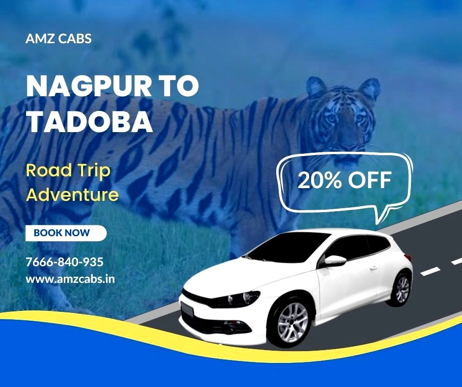 Nagpur to Tadoba Road Trip