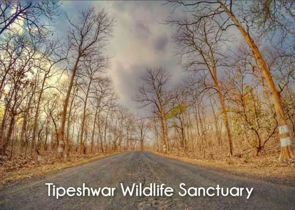 Tipeshwar Wildlife Sanctuary