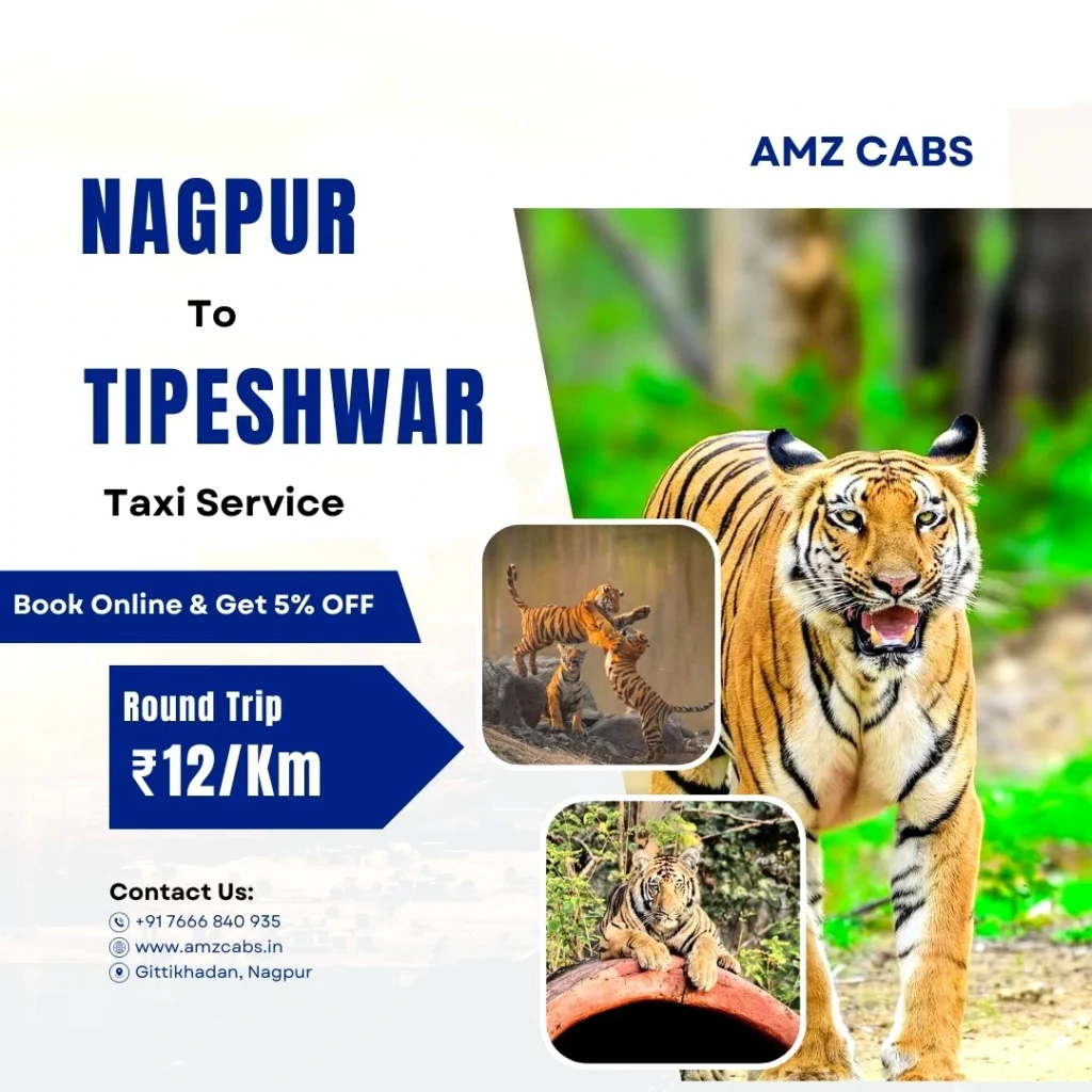 Nagpur to Tipeshwar Taxi Service