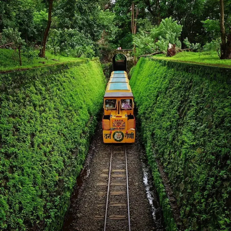 Sanjay Gandhi National Park
