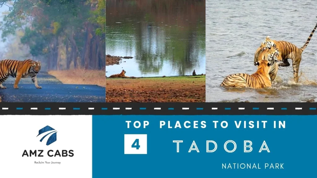 Places to visit in Tadoba National Park