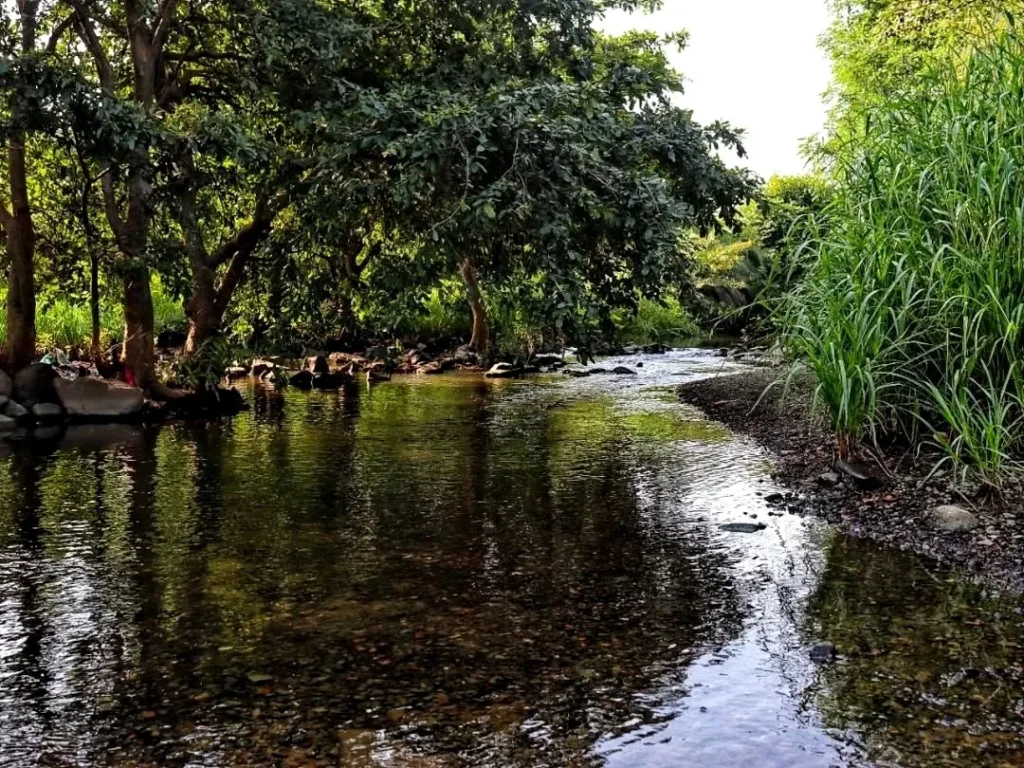 Gorewada Lake,