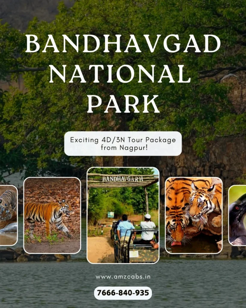 Bandhavgad National Park Tour Package from Nagpur