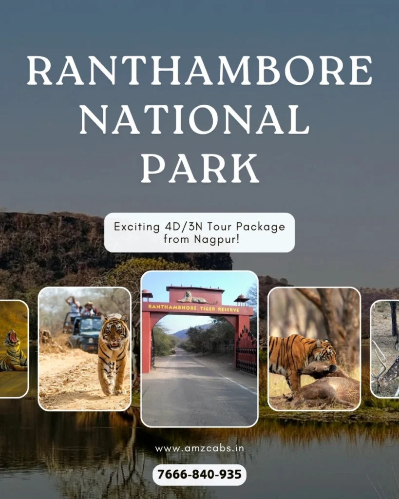 Ranthambore National Park Tour Package from Nagpur