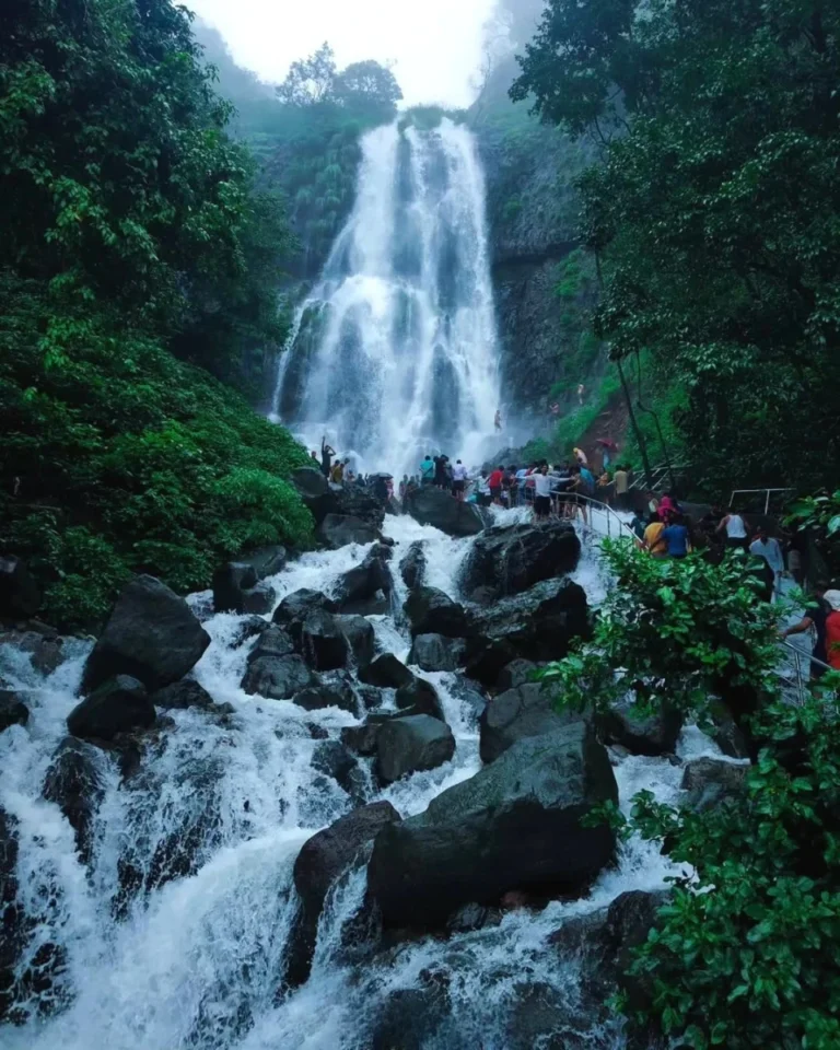 Amboli