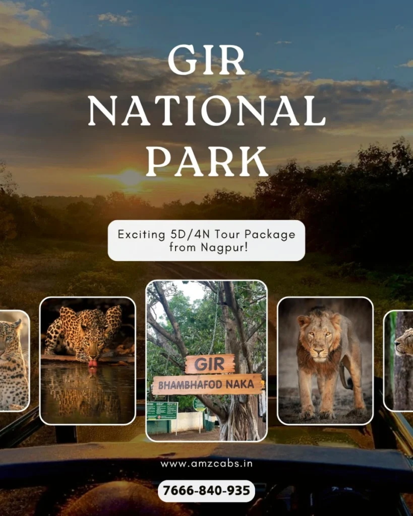 Gir National Park Tour Package from Nagpur