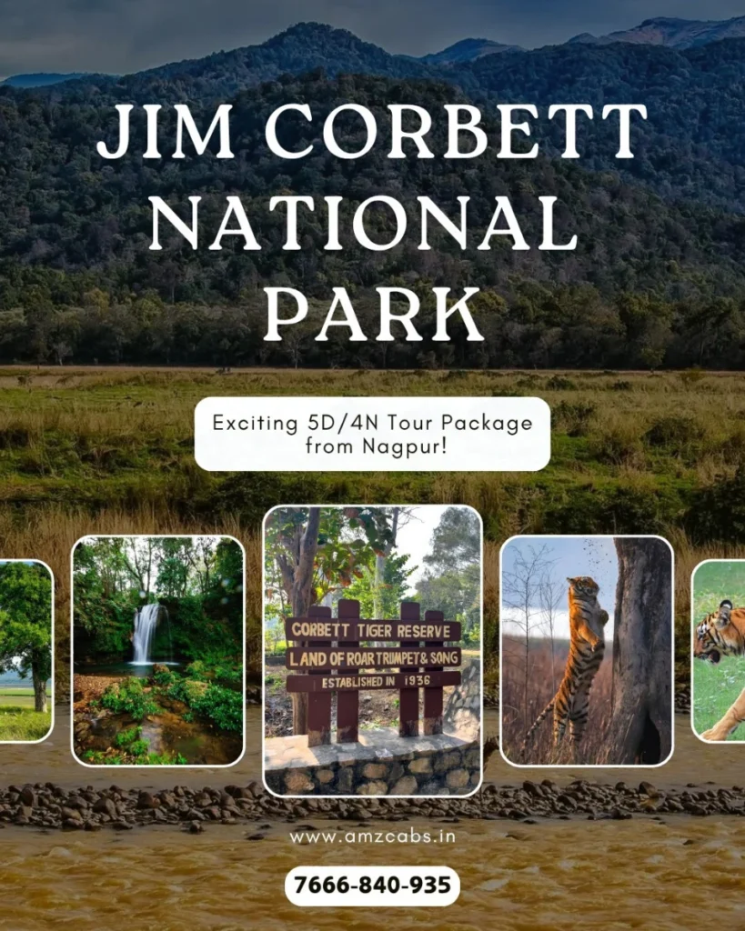 Jim Corbett National Park Tour Package from Nagpur