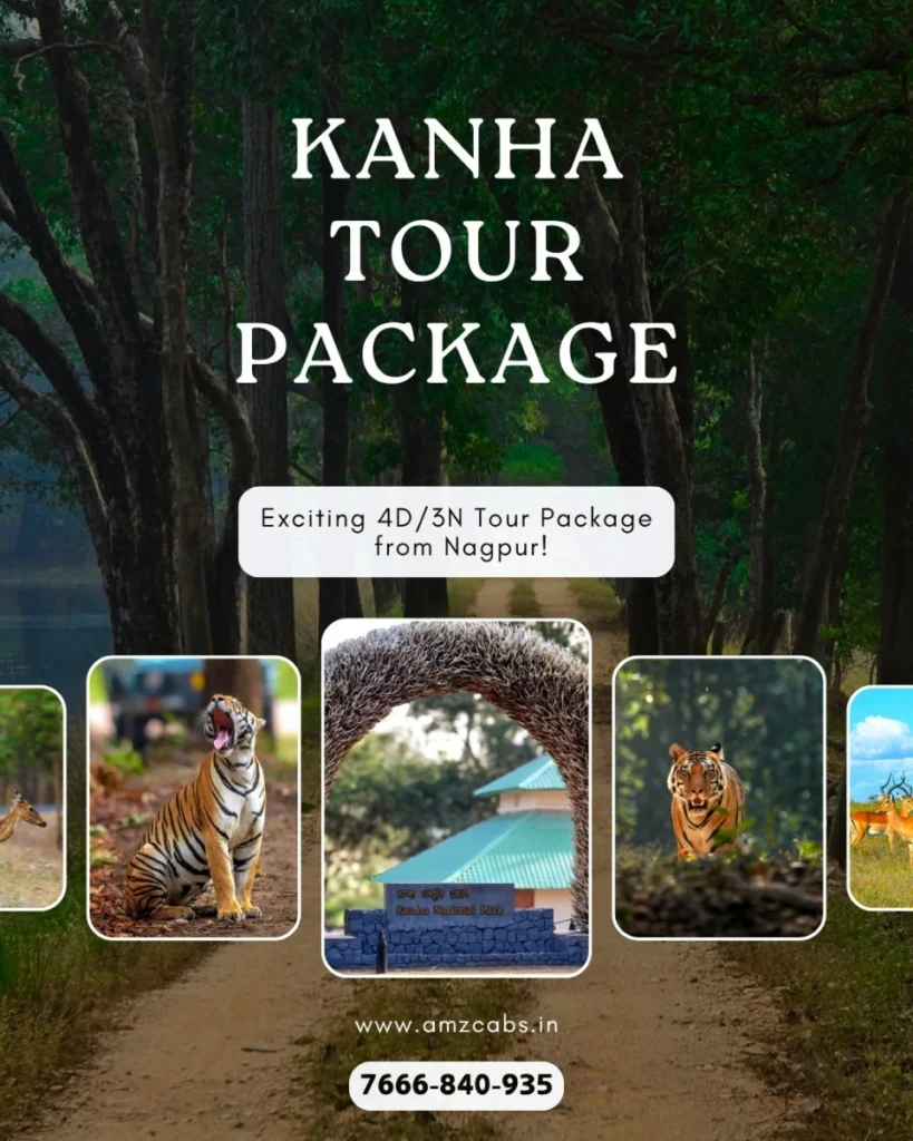 Kanha National Park Tour Package from Nagpur