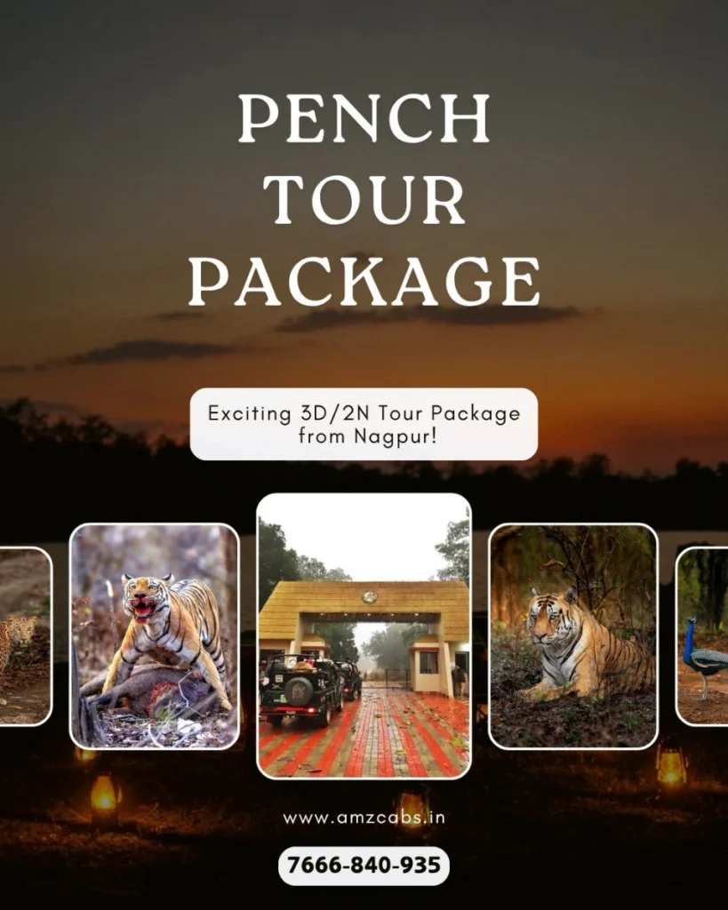 Pench National Park Tour Package from Nagpur