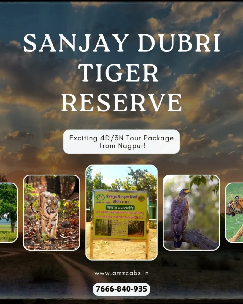 Sanjay Dubri Tiger Reserve Tour Package from Nagpur