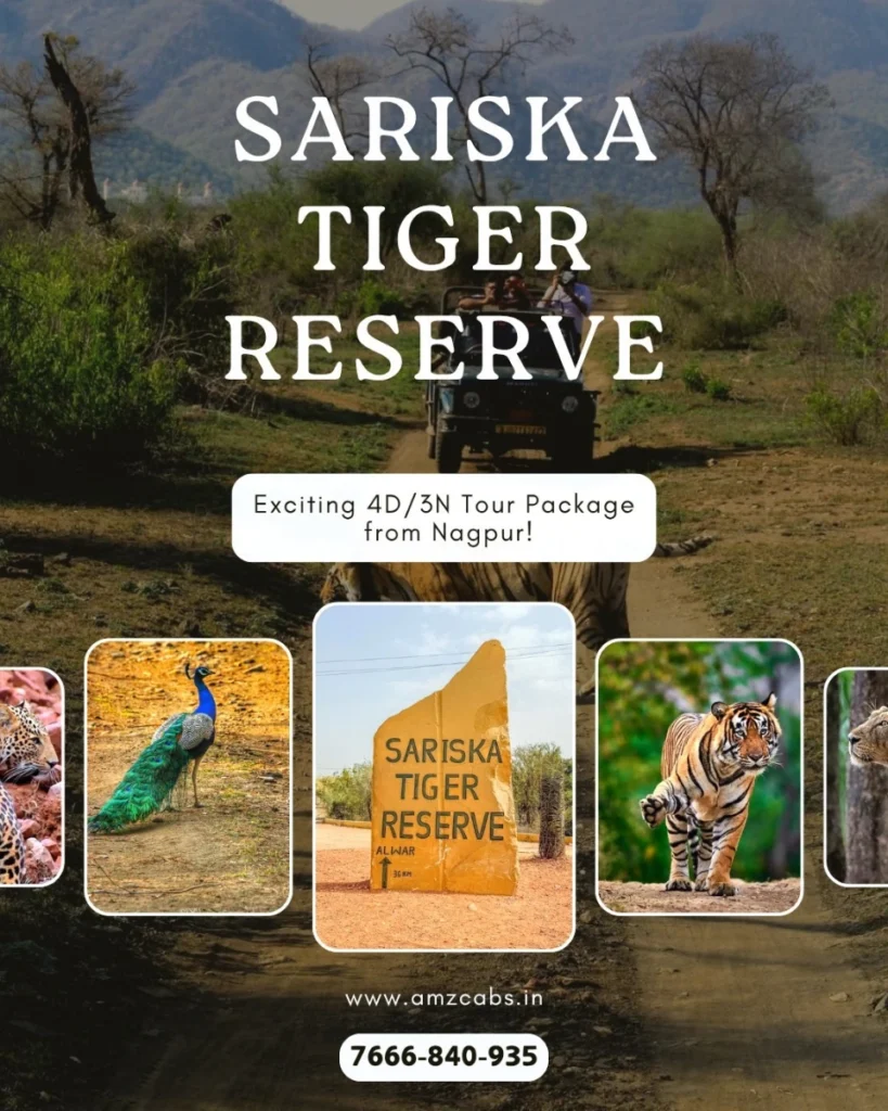 Sariska Tiger Reserve Tour Package from Nagpur
