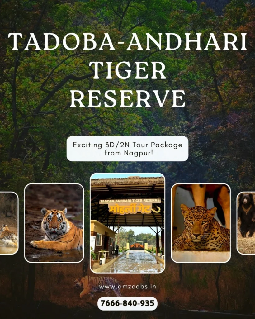 Tadoba-Andhari Tiger Reserve Tour Package from Nagpur