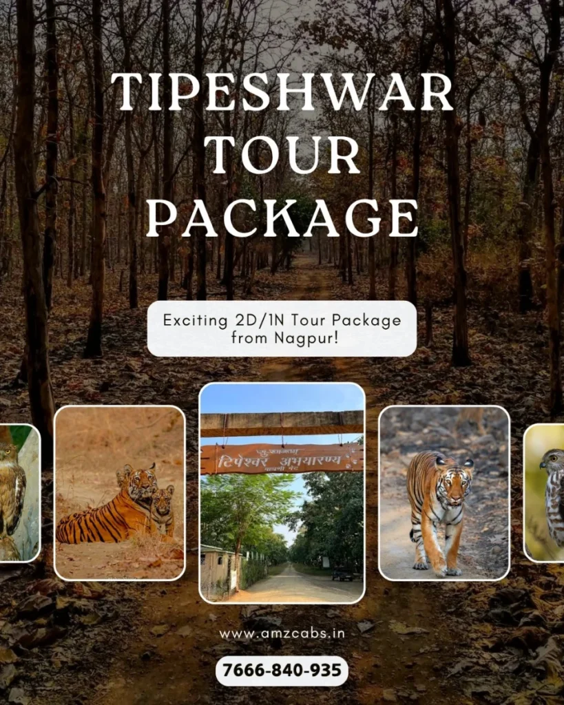 Tipeshwar Wildlife Sanctuary Tour From Nagpur