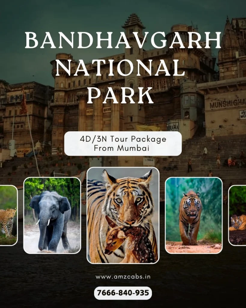 Bandhavgarh National Park Tour From Mumbai