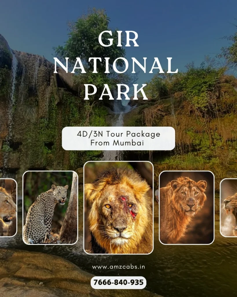 Gir National Park tour from Mumbai
