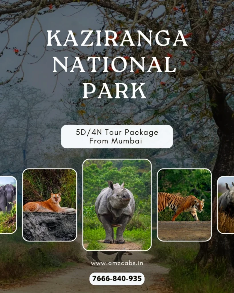 Kaziranga National Park Tour Package from Mumbai
