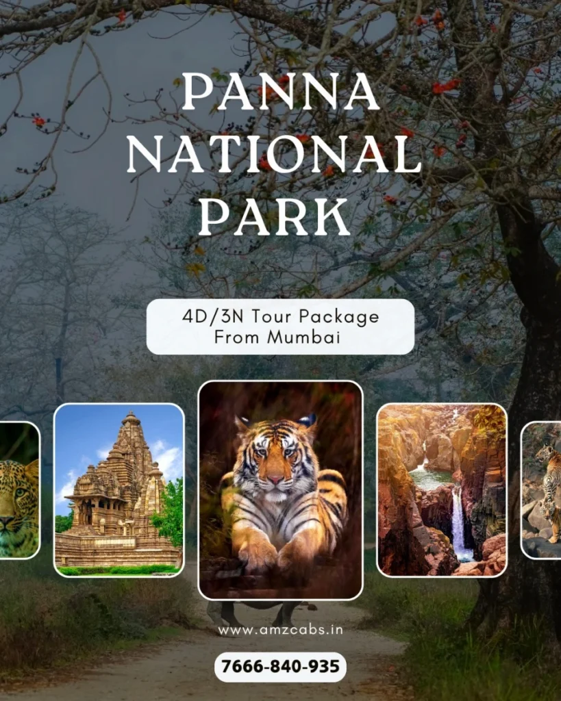 Panna National Park Tour Package from Mumbai