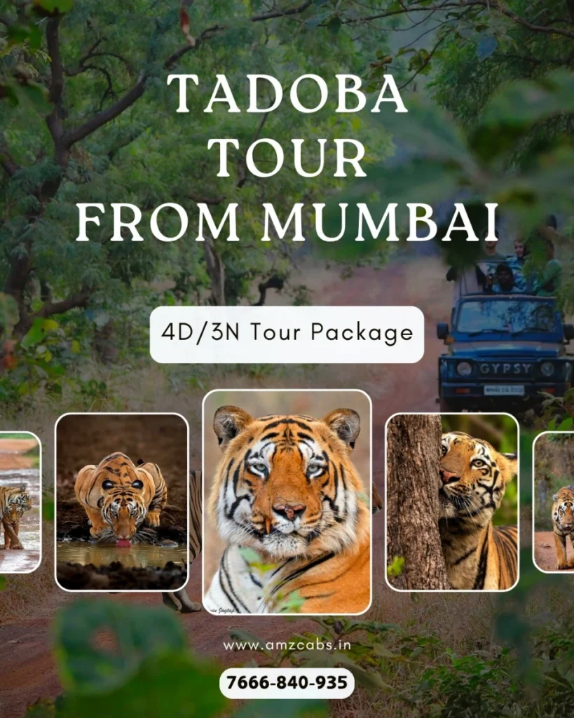 Tadoba Tour Package from Mumbai