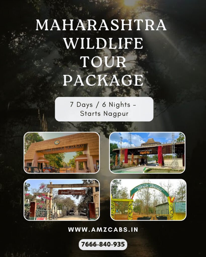 Maharashtra Wildlife Tour Package from Nagpur