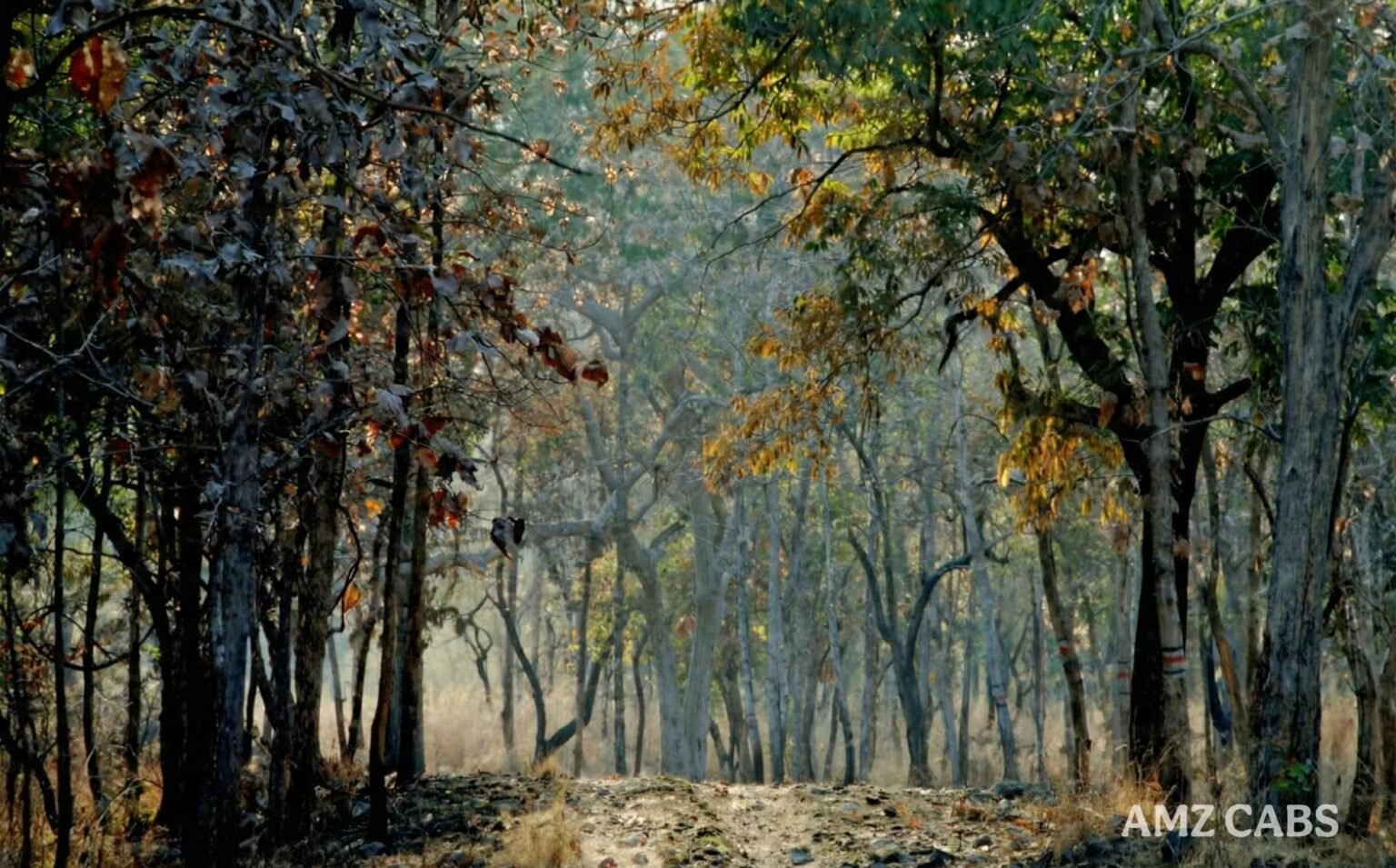 Bor Wildlife Sanctuary