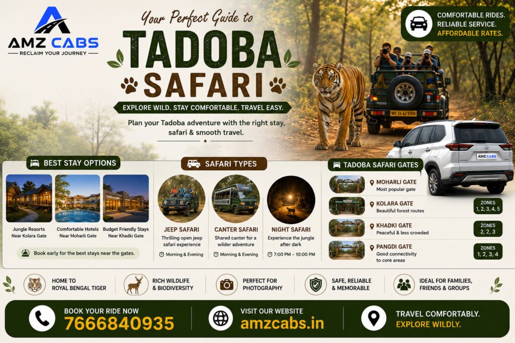 Tadoba Safari Guide